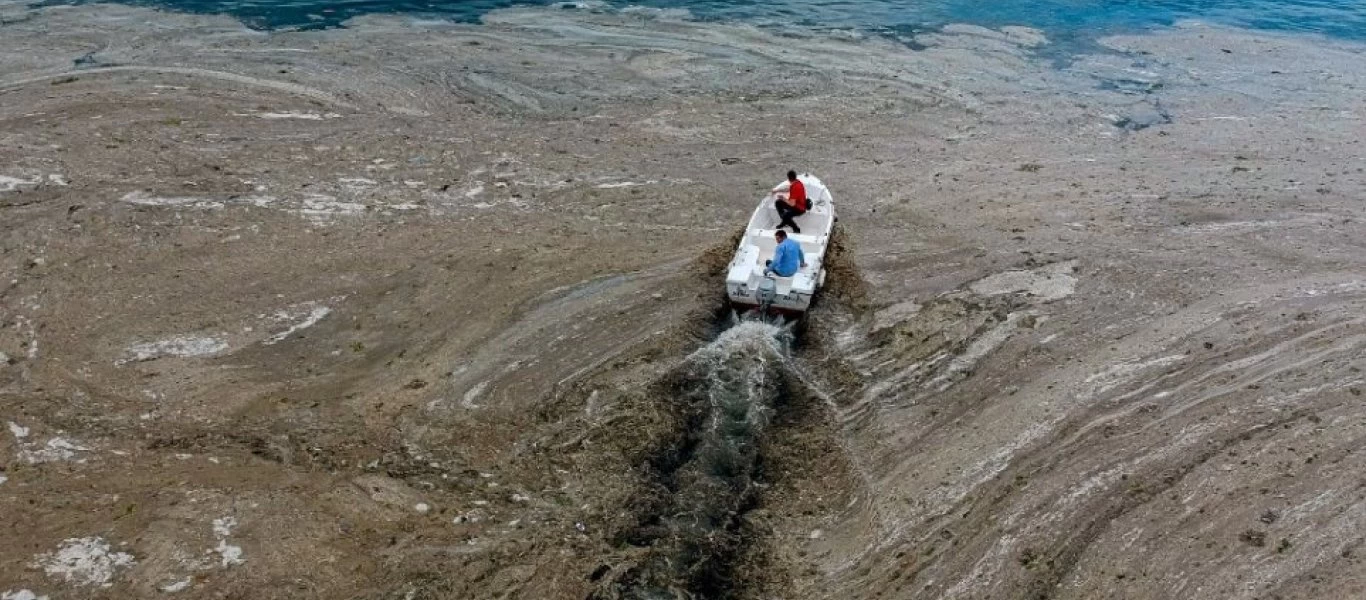Χαρά οι Τούρκοι που η βλέννα έρχεται και στην Ελλάδα (βίντεο)